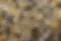 termites.webp
