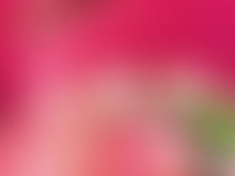 6月キャンペーンのお知らせ!