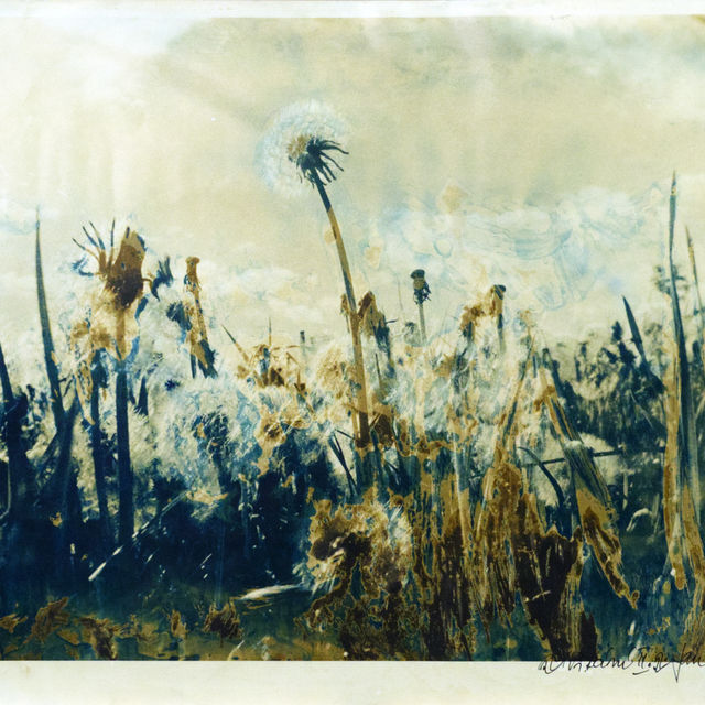 Vítání - verze II