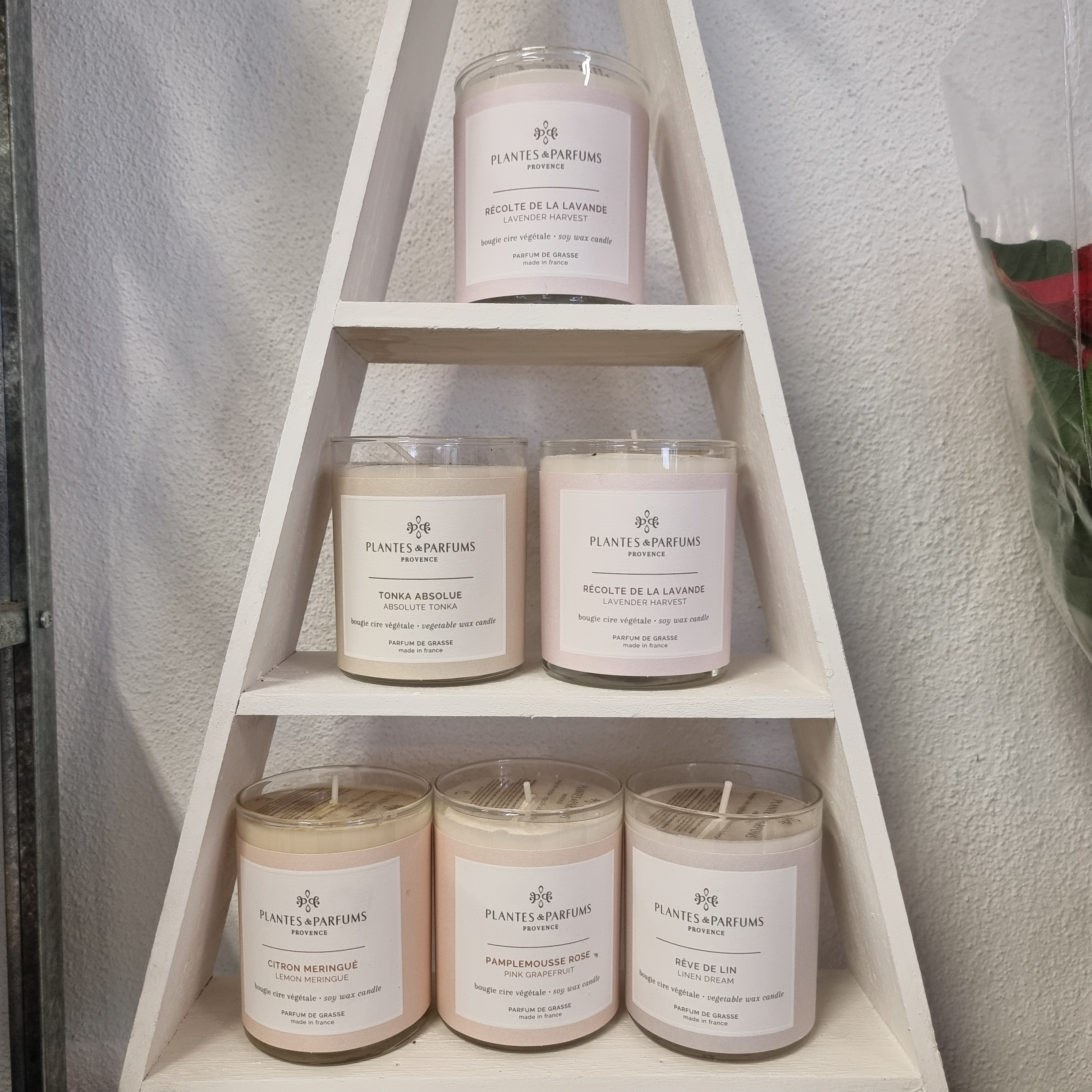 Bougie plantes et parfums de Provence