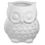 Thumbnail: Large Owl Holder