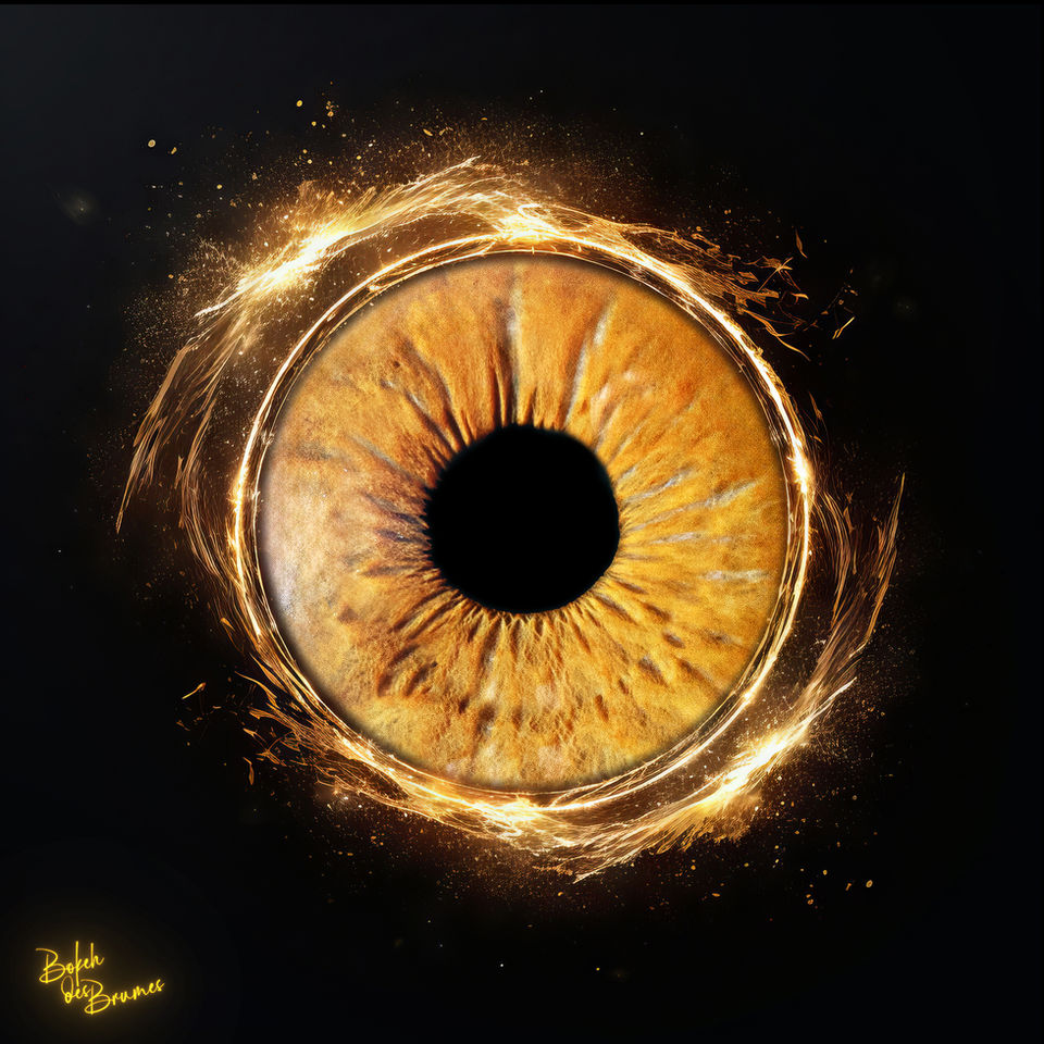 Photographe Iris Bordeaux