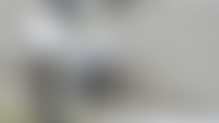 What is the Appraiser's role in the homebuying process?