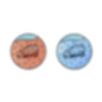 Illustration for NZ Frogs