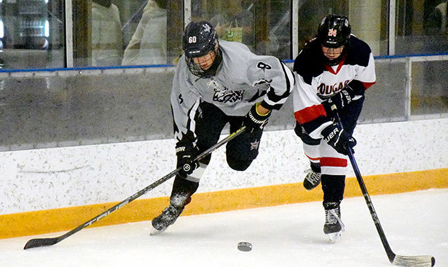 Wolves eliminated from WECSSAA girls hockey playoffs