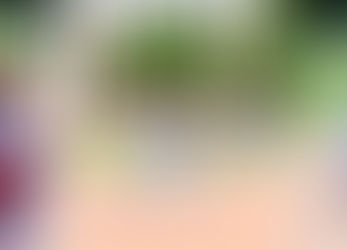 AMBA’s two travel teams busy on the weekend