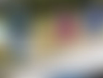 Sully’s Monster Dash raises $10K in first year