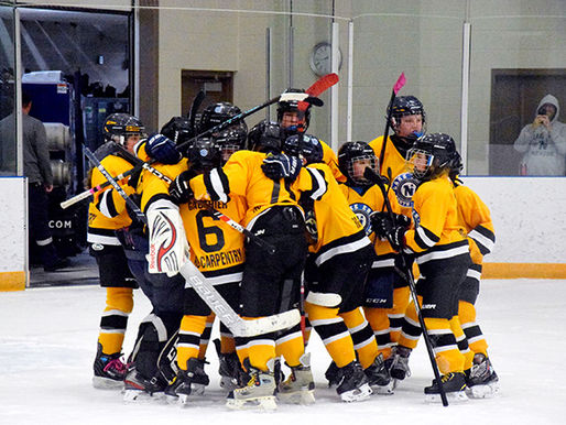 First-ever Day of Champions held under Lake Erie Minor Hockey banner