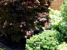 Garden Tour returns with ten sites open for public viewing