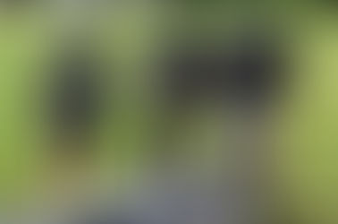 Wolves’ football players preparing for upcoming WECSSAA season