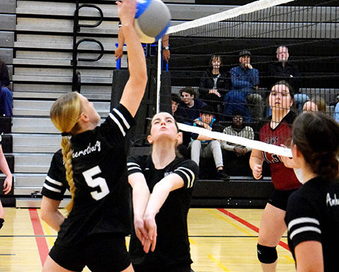 Volleyball season over at North Star High School