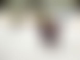 Ronald’s House of Champions hockey tournament comes to town