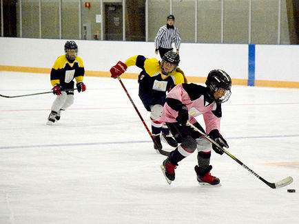 Ronald’s House of Champions hockey tournament comes to town