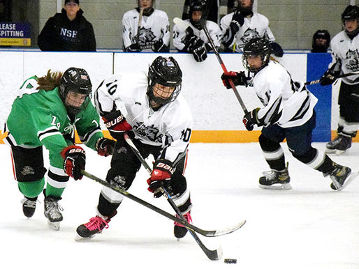 Wolves girls hockey team advances, coaches want better effort