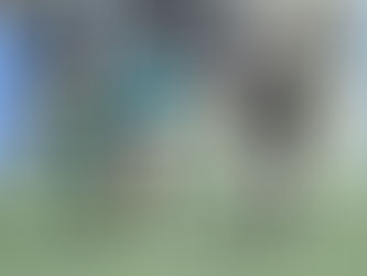 Wolves girls soccer team suffers pair of losses last week