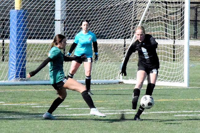 Wolves girls soccer team suffers pair of losses last week