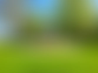 Resident wants outdoor museum founded and themes planned around it