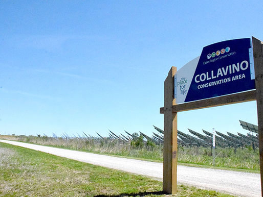ERCA approves management plan for Collavino Conservation Area