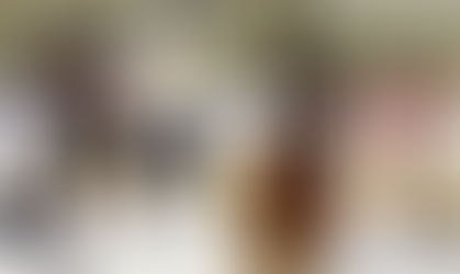 Admirals fall short against 73’s 3-2 but tame the Wild 5-1