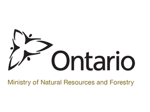 Michigan man fined by court