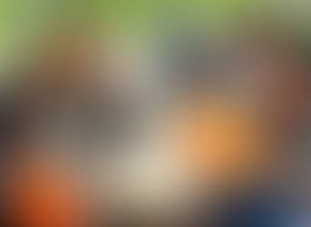 Truth and Reconciliation event presented on wet weekend