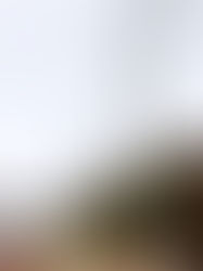 Town council wants to meet with Hydro One to reduce power outages