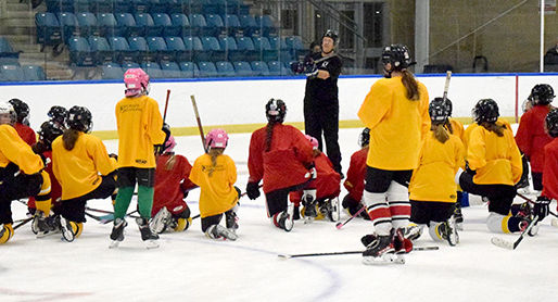 Hockey school presented by Amherstburg coaches