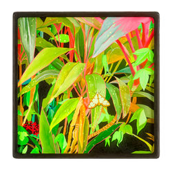 Roadside plants 路邊植物