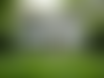 Comprehensive CT Property Listings: Your Guide to Finding the Perfect Home