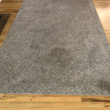 Living Room Carpet