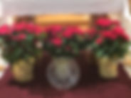 IMG_0108.jpeg