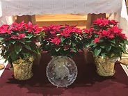 IMG_0108.jpeg