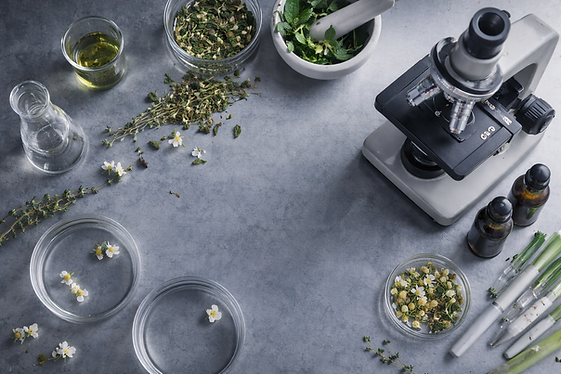 ChatGPT Image 17 abr 2026, 06_48_16 p.m..png