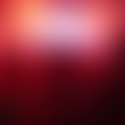 Booking Pheebs: How to Secure Your Event Entertainment