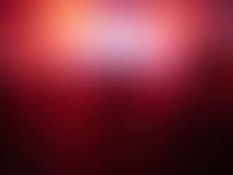 Booking Pheebs: How to Secure Your Event Entertainment