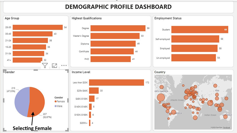 final power bi dashboard with action filters