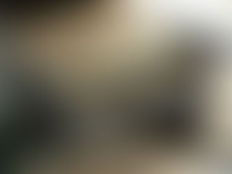 Notes on a Borrowed Dollar