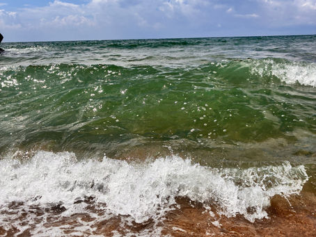 やってもらって当たり前じゃない