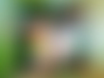 【朝の光を浴びて、自分を整える】