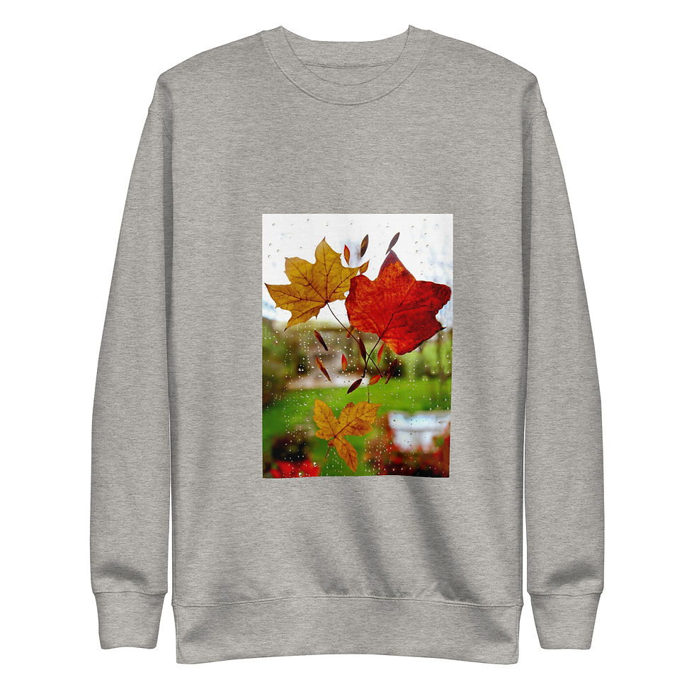 Sličica: Unisex Premium Sweatshirt