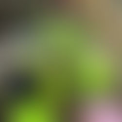 🌟 Our Very First Gumnut Excursion! 🚶♀️🚴♂️🚂