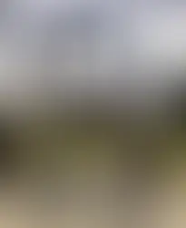 The Physical Side of Grief