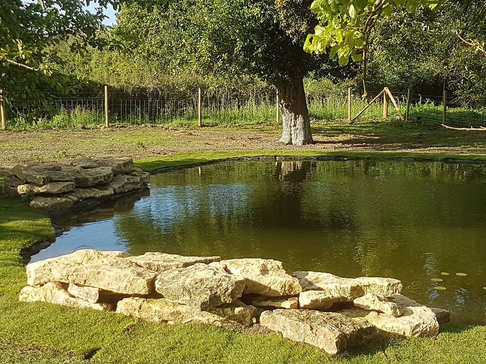 pjnewberylandscaping-wildlifepond