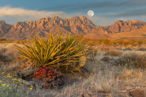 Landscape Photography