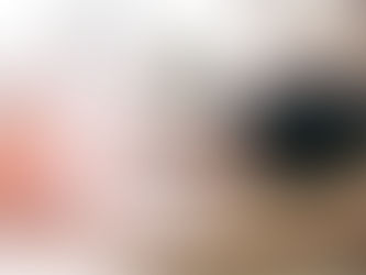 How Osteopaths Aid Digestive Health