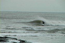 Matagorda8
