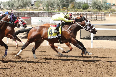RAYSHAS PINK CARTEL - Governor's Handicap - 08-30-25 - R04 - Sweetwater Downs - Finish.jpg
