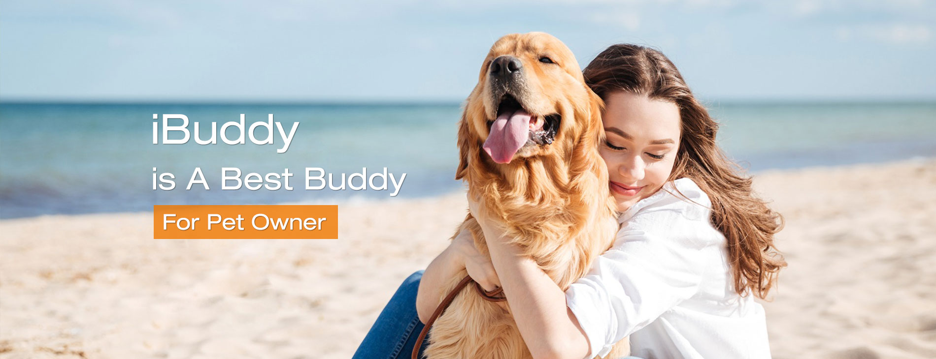 ibuddy dog
