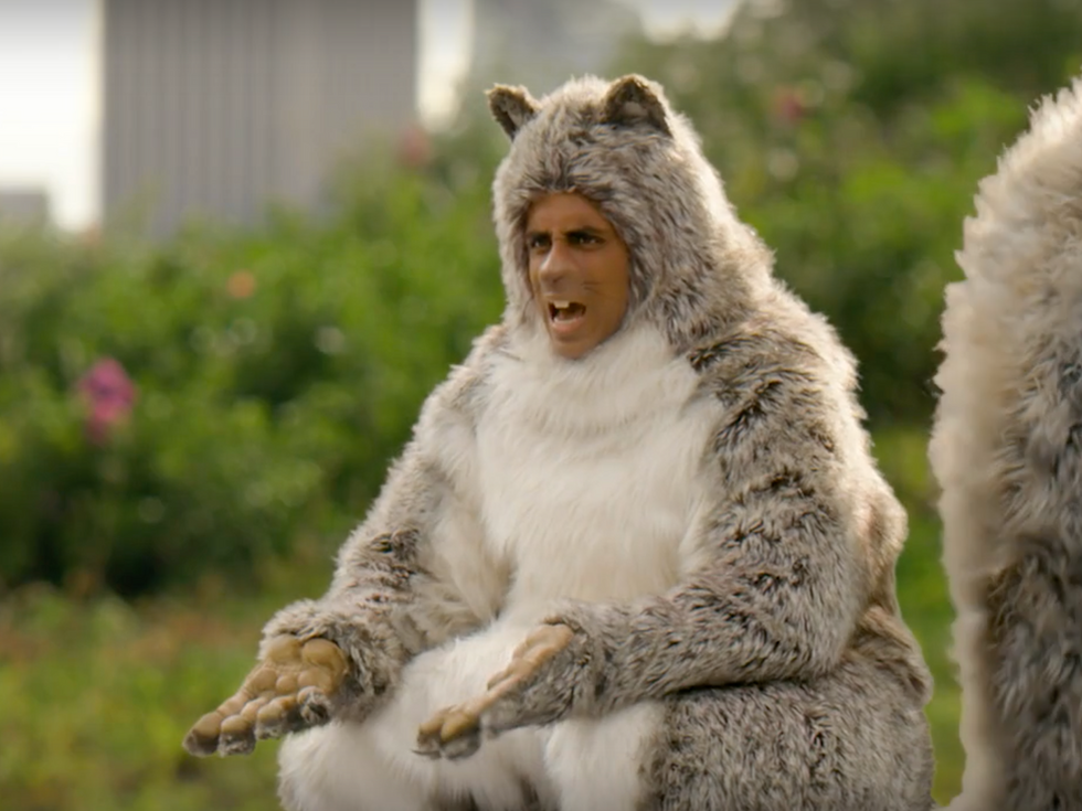 Sierra Trading Post | Squirrel Commentary