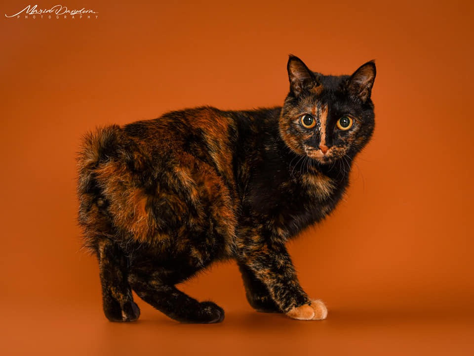 Margo